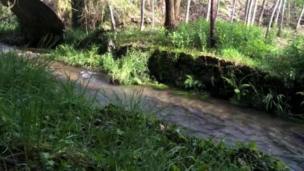 アルベルガリア ヴェーリャ ポルトガルの Filveda 川に架かる古い岩橋 — ストック動画