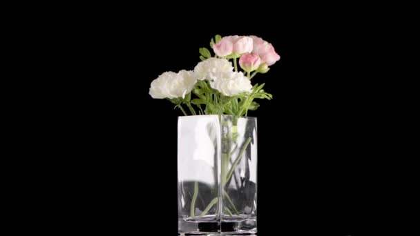 Bouquet Various Artificial Flowers Glass Jar White Background — Stock Video