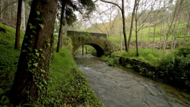 Antiguo Puente Rocoso Sobre Río Filveda Albergaria Velha Portugal — Vídeos de Stock