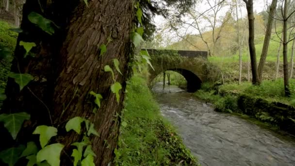 Ponte Rochosa Velha Sobre Rio Filveda Albergaria Velha Portugal — Vídeo de Stock