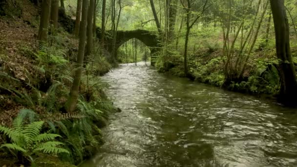 Vecchio Ponte Roccioso Sul Fiume Filveda Albergaria Velha Portogallo — Video Stock