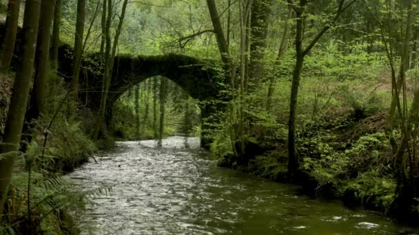 Παλιά Rock Γέφυρα Πάνω Από Τον Ποταμό Filveda Albergaria Velha — Αρχείο Βίντεο