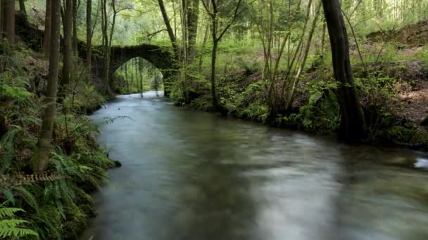 Vecchio Ponte Roccioso Sul Fiume Filveda Albergaria Velha Portogallo — Video Stock