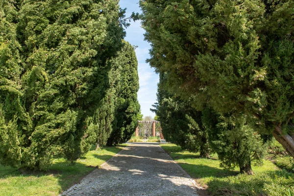 Dieser Park Ist Ein Integraler Bestandteil Des Projekts Zur Aufwertung — Stockfoto