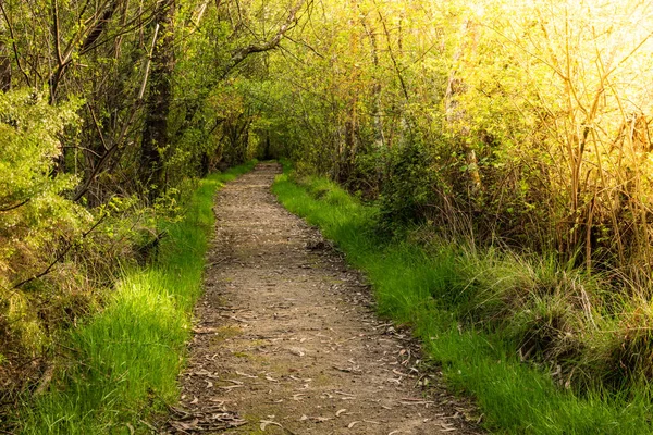 Dirt road pathway in Lagoas de Bertiandos — Stock Photo, Image