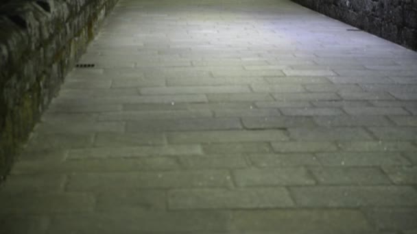 Vista Nocturna Del Puente Romano Que Cruza Río Lima Ponte — Vídeos de Stock