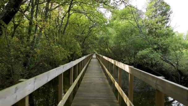 Drewniana Ścieżka Parku Naturalnym Lagoas Bertiandos Ponte Lima Portugalia — Wideo stockowe