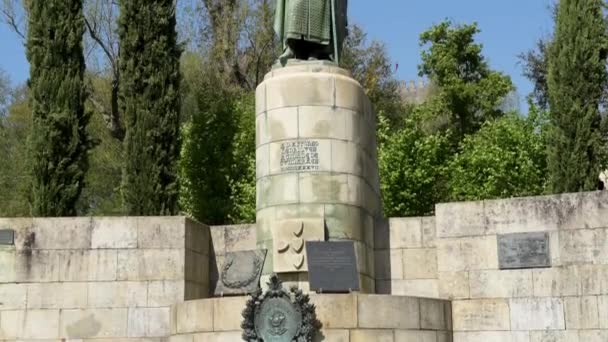 Ponte Lima Portugal Circa Abril 2018 Estátua Primeiro Rei Portugal — Vídeo de Stock