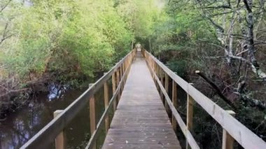 Lagoas de Bertiandos doğal parkındaki tahta patika, Ponte de Lima - Portekiz.