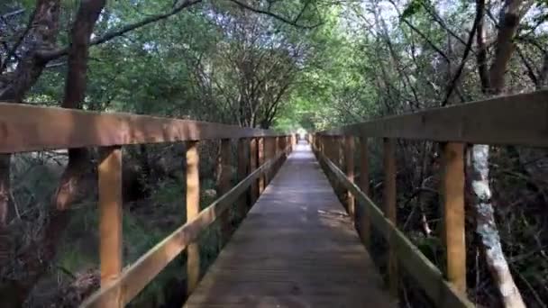 Lagoas Bertiandos Doğal Parkındaki Tahta Patika Ponte Lima Portekiz — Stok video