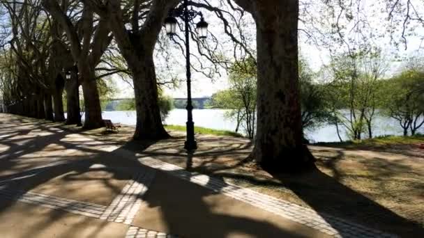 葡萄牙利马 2018年4月 树排列沿利马河在 Platanos 步行在 — 图库视频影像
