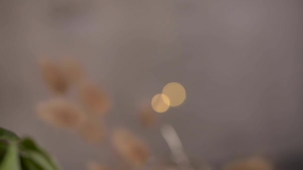 Смачна Гола Кава Торт Лісовими Горіхами Столі Сільська Дерев Яна — стокове відео
