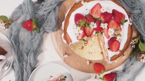 Erdbeerkuchen Erdbeer Biskuit Mit Frischen Erdbeeren Und Saurer Sahne Auf — Stockvideo