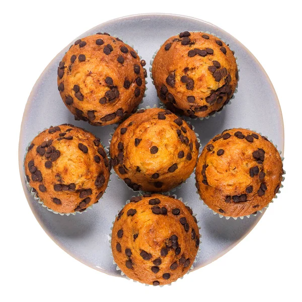 Muffin Con Gocce Cioccolato Piatto Ceramica Isolato Sfondo Bianco — Foto Stock