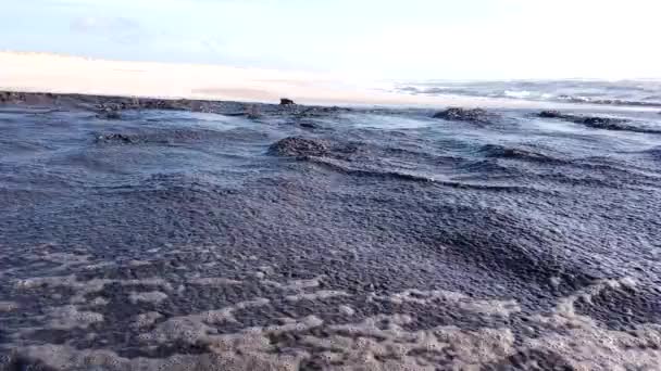 Ovar Portugal May 葡萄牙环境局正在对大西洋进行沉积物移位干预 以优化2012年5月6日在葡萄牙奥瓦尔的Ria Aveiro的水动力平衡 — 图库视频影像