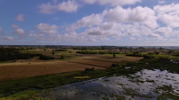 Vue Aérienne De Ribeira do Mourao Près De La Lagune Aveiro à Murtosa, Aveiro, Portugal 