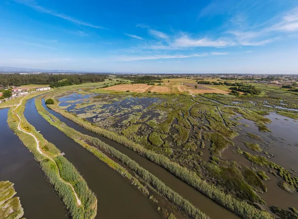 Widok Lotu Ptaka Ribeira Mourao Pobliżu Laguny Aveiro Murtosa Aveiro — Zdjęcie stockowe