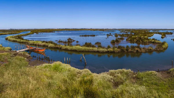 Vista Aérea Esteiro Tojeira Perto Lagoa Aveiro Murtosa Aveiro Portugal — Fotografia de Stock