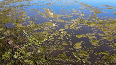 Puxadouro 'nun Ovar, Aveiro, Portekiz' deki Aveiro Gölü yakınlarındaki hava manzarası.