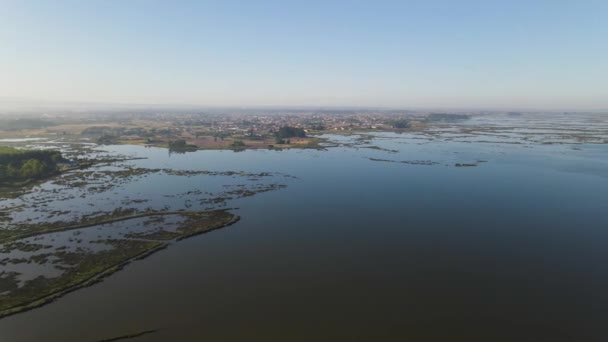 Veduta Aerea Puxadouro Vicino Alla Laguna Aveiro Ovar Aveiro Portogallo — Video Stock