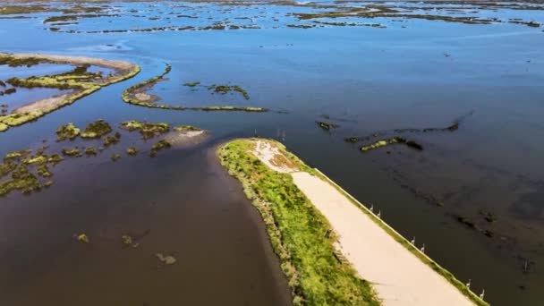 Flygfoto Över Ribeira Das Teixugueiras Nära Aveiro Lagunen Pardilho Aveiro — Stockvideo