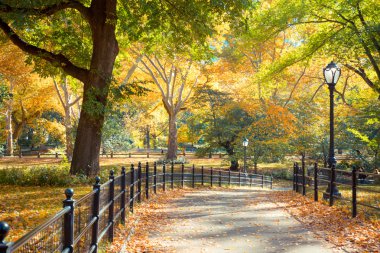 Central Park'a nyc