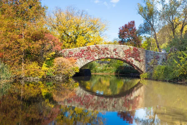 Central Park NYC — Stock Photo, Image