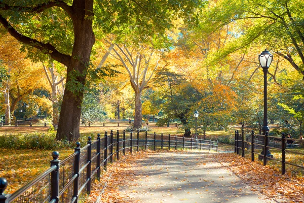Central Park nyc — Foto Stock