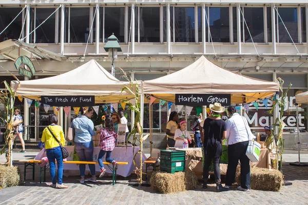 Farm Fresh Festival para crianças NYC 2016 — Fotografia de Stock