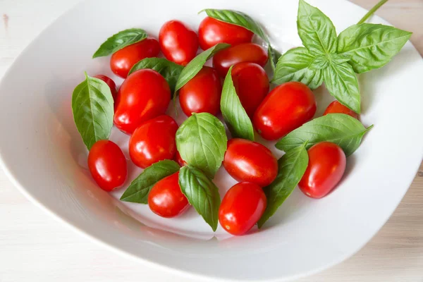 Tomates y albahaca —  Fotos de Stock