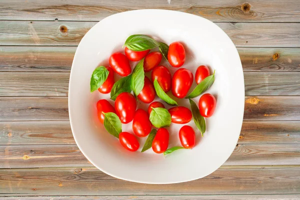 Tomates e manjericão — Fotografia de Stock