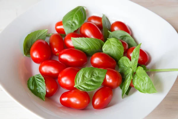 Tomates e manjericão — Fotografia de Stock