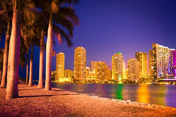 Skyline Miami na Florydzie przez palmy — Zdjęcie stockowe