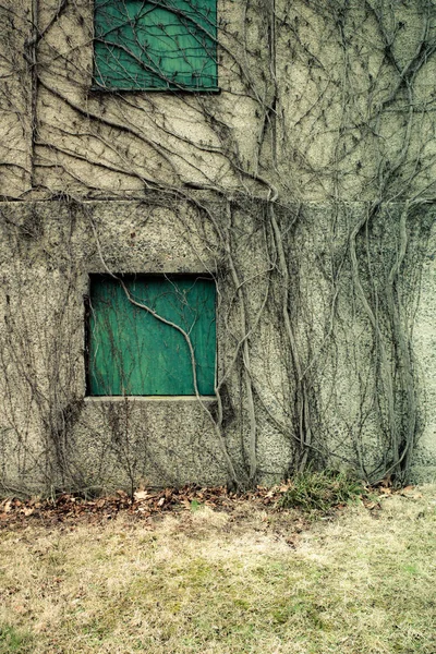 Bâtiment de fenêtres abandonné — Photo