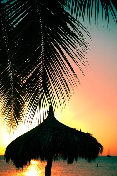 Тропическая сцена заката — стоковое фото