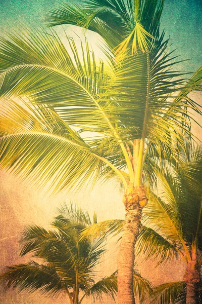 Palmiers texturés vintage — Photo