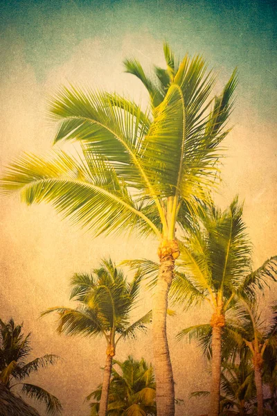 Vintage teksturowanej Palms — Zdjęcie stockowe