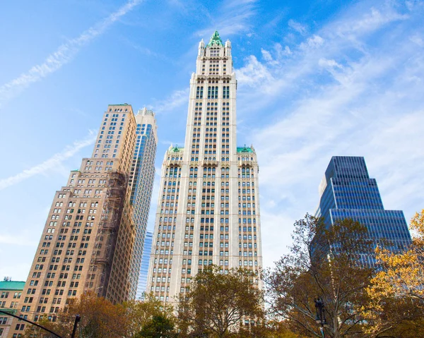 Woolworth Building Nyc — Photo