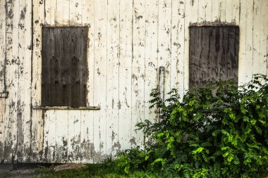 Terk edilmiş beyaz Barn duvar