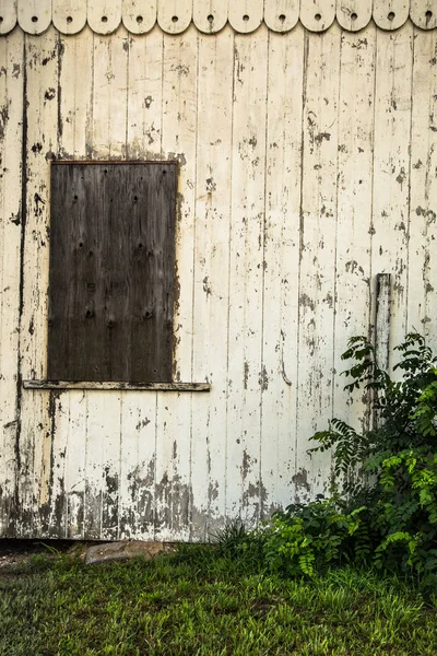 Opuštěné bílé Barn zeď — Stock fotografie