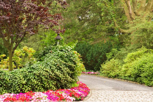 Landscaped Driveway with flowers — Stock Photo, Image