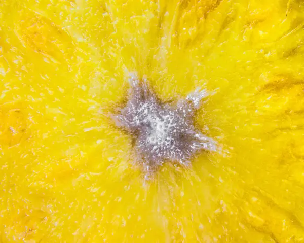 Pineapple Slice Closeup — Stock Photo, Image