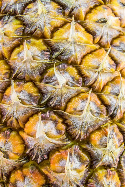 Ananas cilt portre — Stok fotoğraf