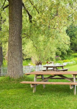 Piknik alanı peyzaj