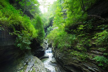 Watkins Glen Ny şelale