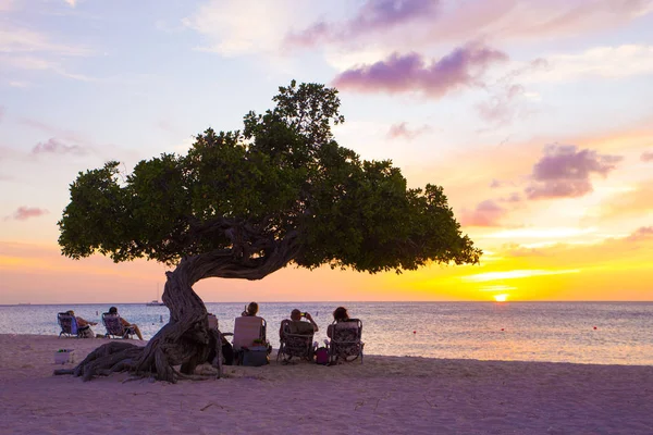 Plage d'Aruba avec des touristes — Photo