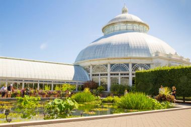 New York Botanik Bahçeleri