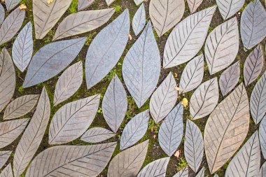 Yaprak şekli bahçe taşları  