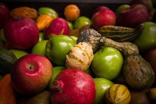 Sonbahar meyve ve sebze — Stok fotoğraf
