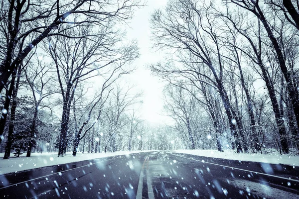 Estrada Dia Nevado Com Flocos Neve Caindo Árvores Nuas — Fotografia de Stock